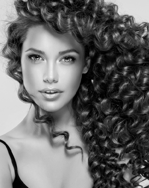 Hair and Beauty Icon - Hair Stylist